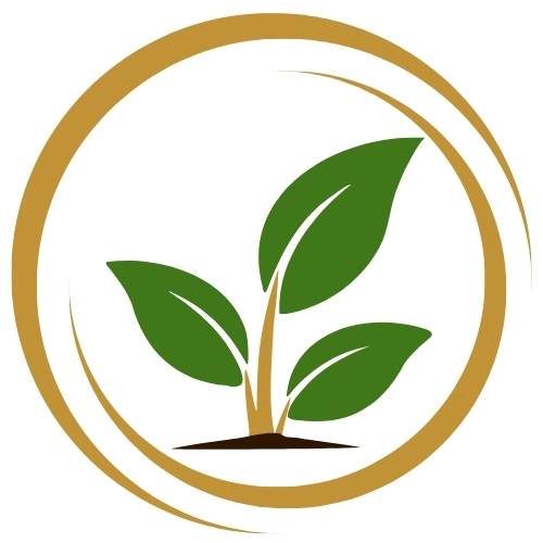 Beach Organics Store